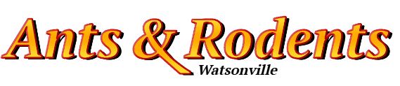 Watsonville Ant Exterminator & Rodent Control Company Logo